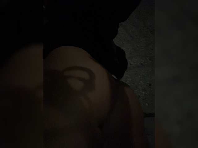 KotiMrrr