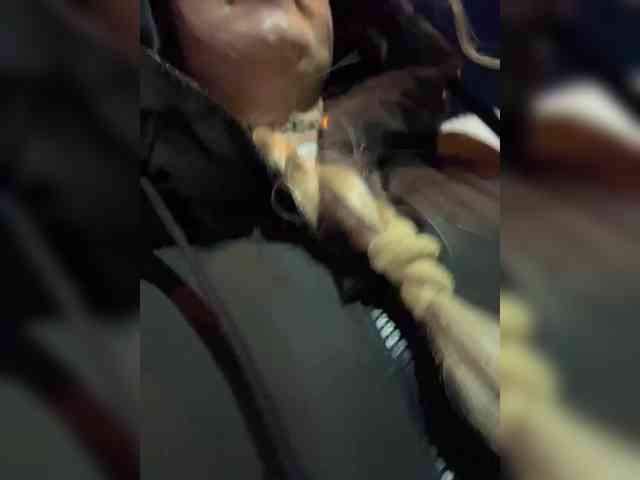 KotiKillerFeaturrrrre webcam