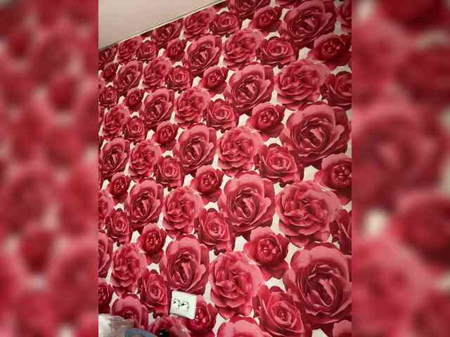 KotiKillerFeaturrrrre webcam