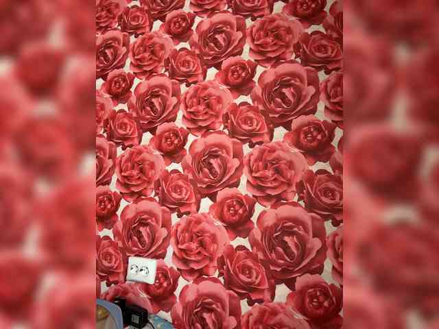 KotiKillerFeaturrrrre webcam