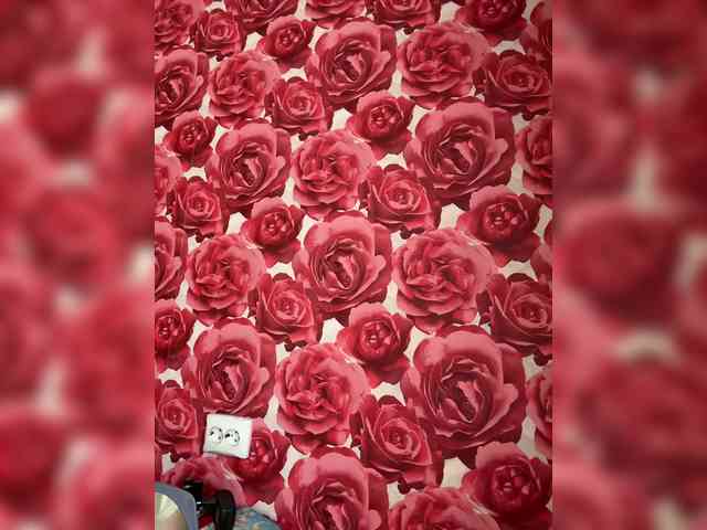 KotiKillerFeaturrrrre webcam