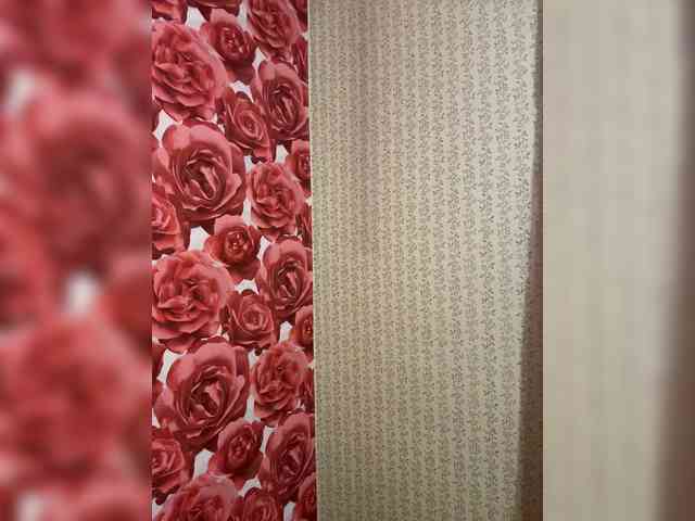 KotiKillerFeaturrrrre webcam