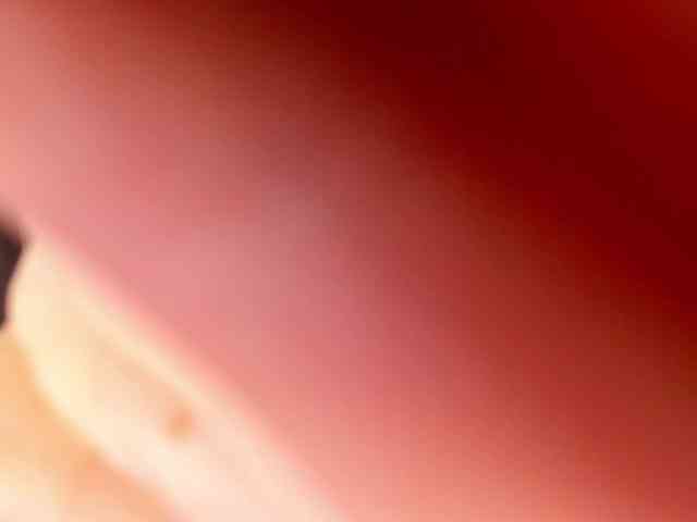 Eire-Spencer webcam