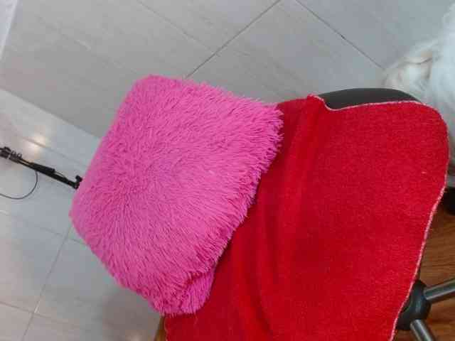 Karolcoott webcam
