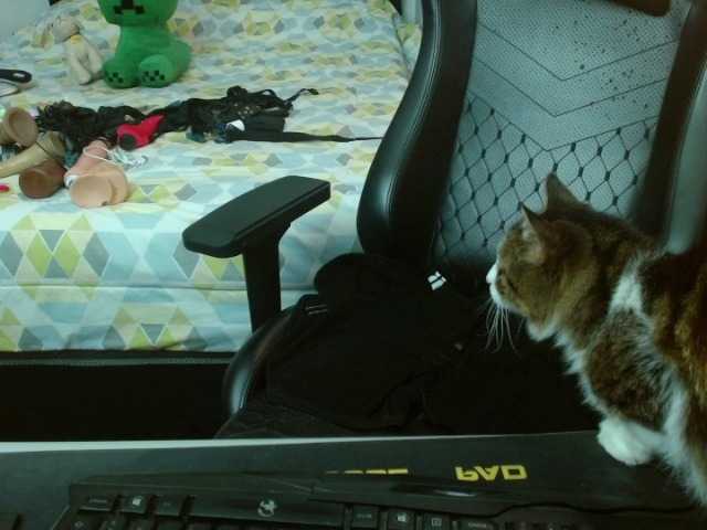 magicjadee live cam on BongaCams