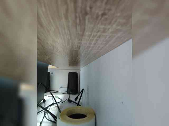 AlisaWyn webcam