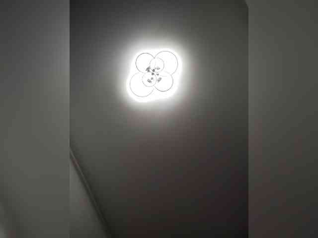 AlisaWyn webcam