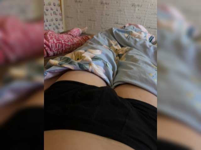Para2DiAlex