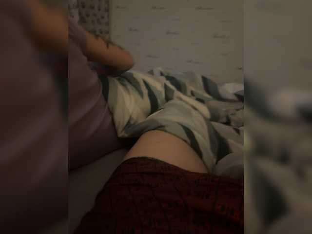 Para2DiAlex