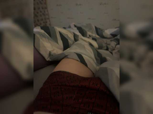 Para2DiAlex