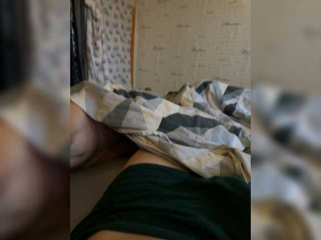 Para2DiAlex