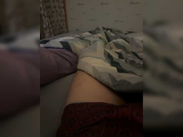 Para2DiAlex