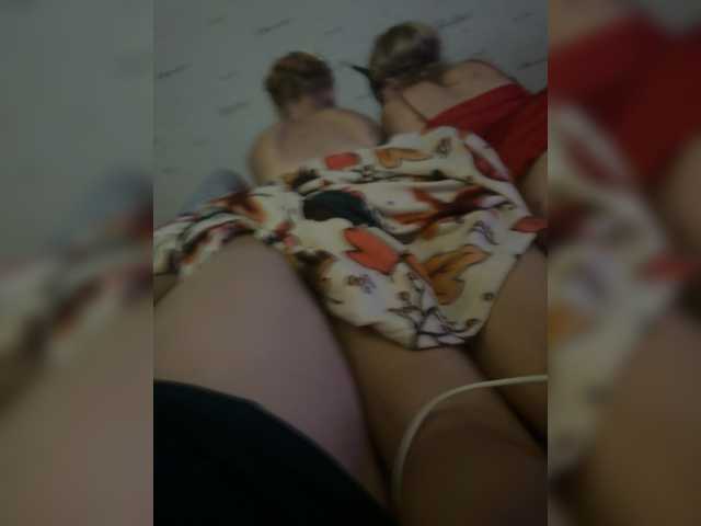 Para2DiAlex