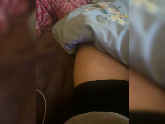 Para2DiAlex