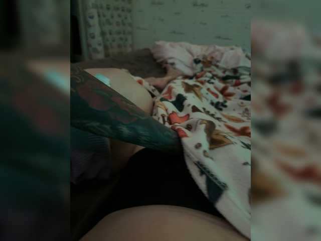Para2DiAlex