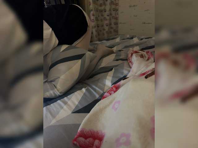 Para2DiAlex