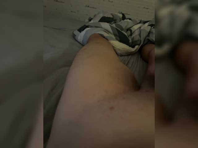 Para2DiAlex
