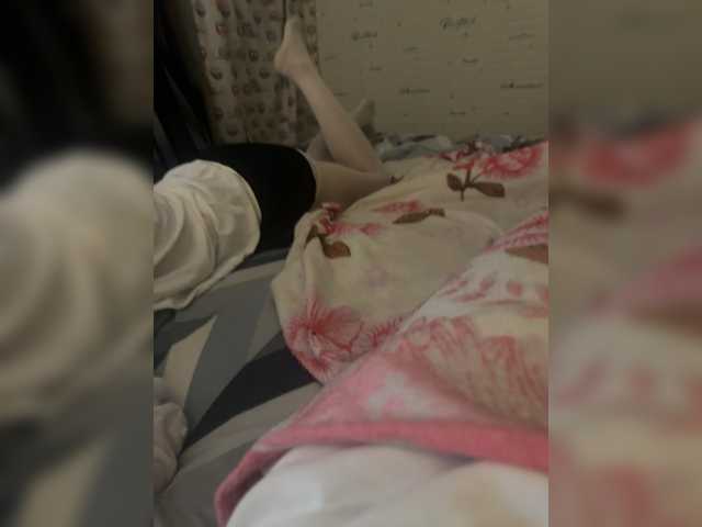 Para2DiAlex