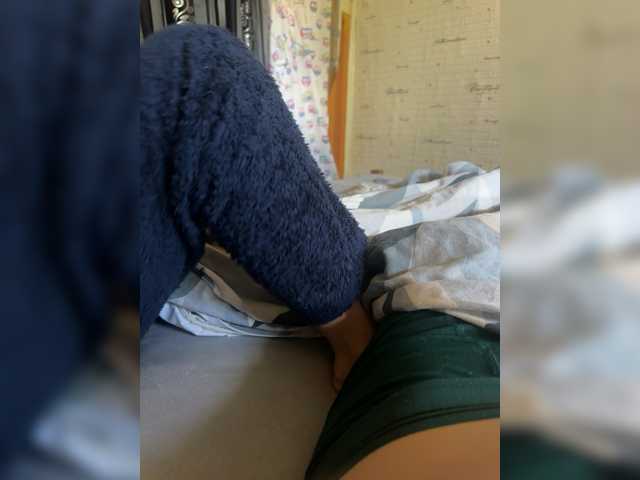 Para2DiAlex