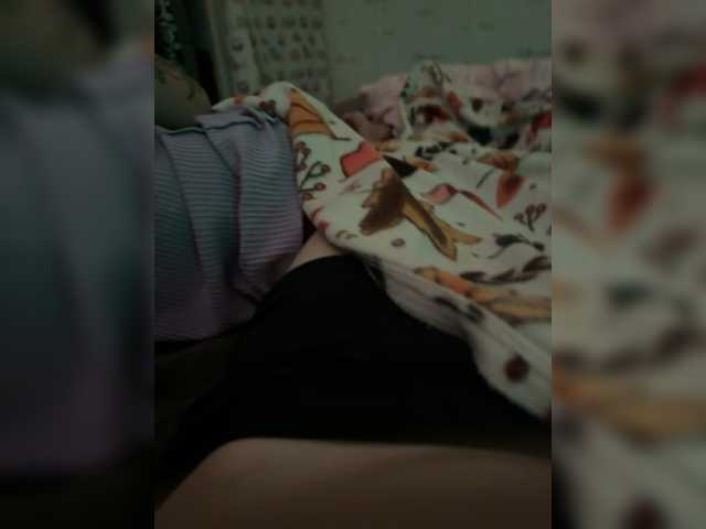 Para2DiAlex