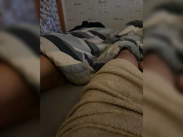 Para2DiAlex