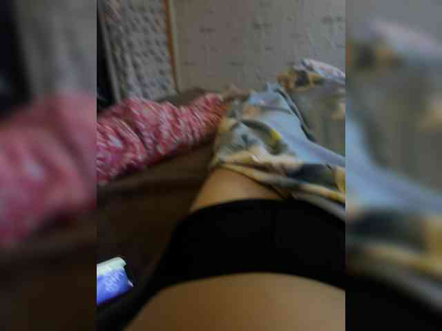 Para2DiAlex