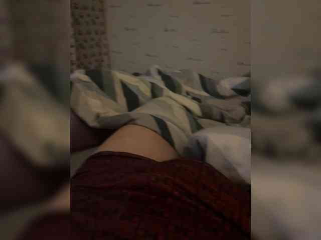 Para2DiAlex