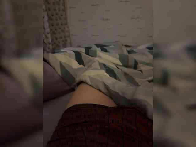 Para2DiAlex