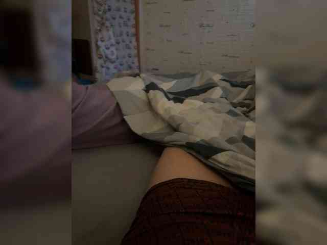 Para2DiAlex