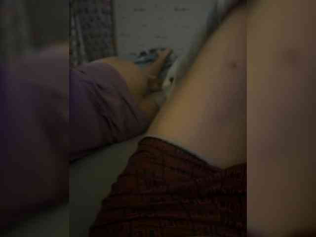 Para2DiAlex