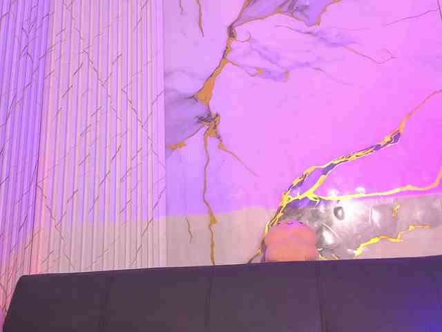 Artemiss-tay webcam
