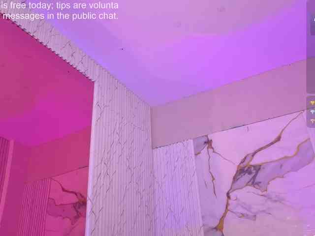 Artemiss-tay webcam