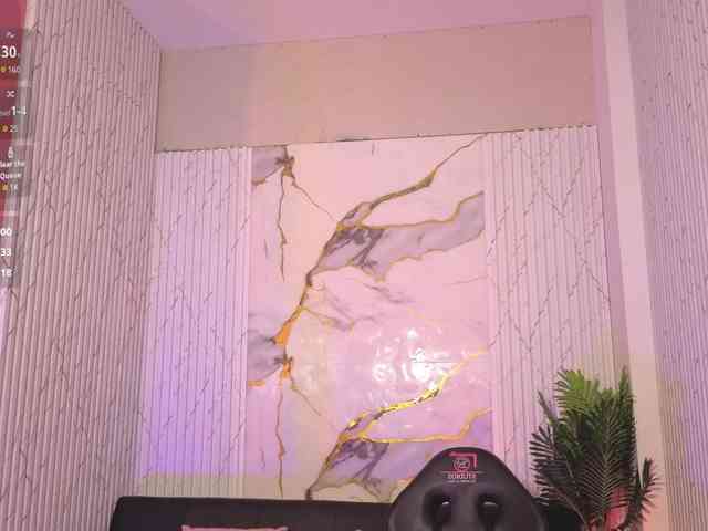 Artemiss-tay webcam