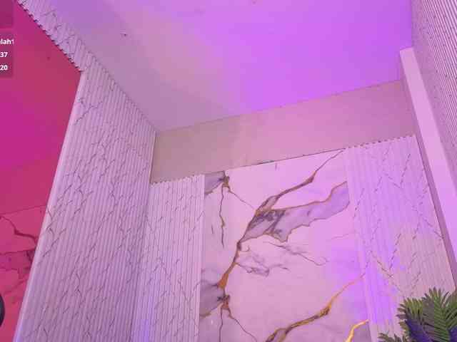 Artemiss-tay webcam