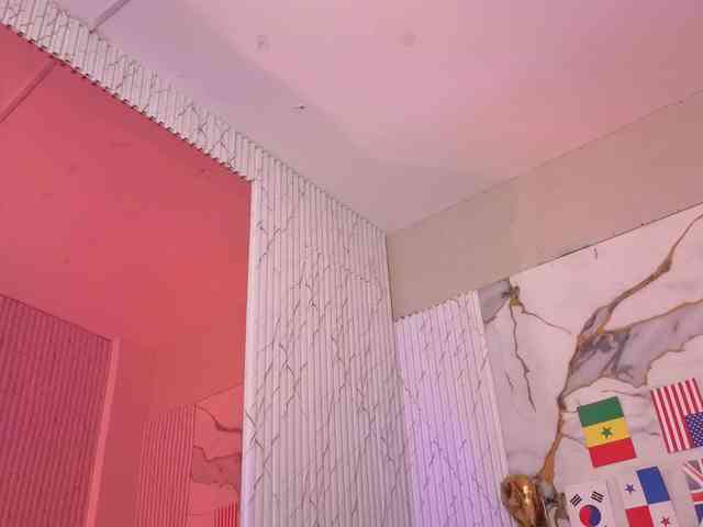 Artemiss-tay webcam