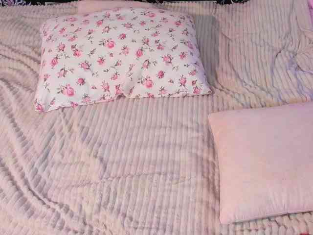 Sweeety-pie webcam