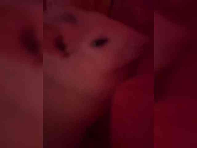 Vishenka69 webcam