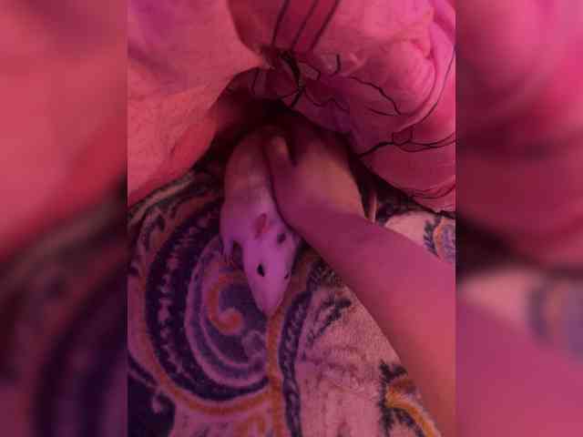 Vishenka69 Sex Cam Show