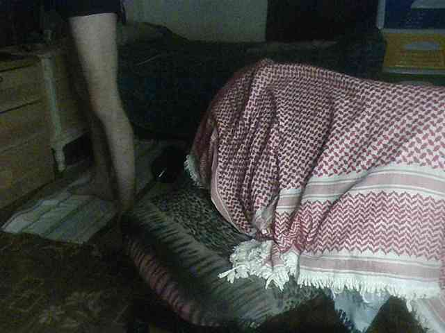 arabBedouin