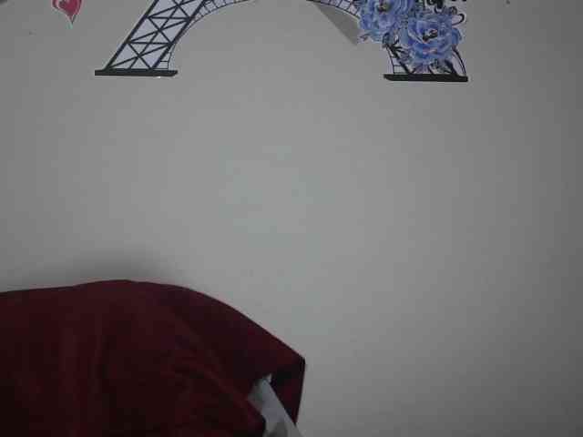 trianabell webcam