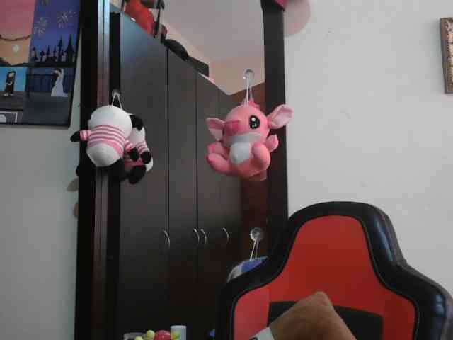 trianabell webcam