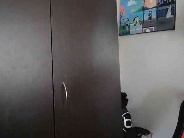 trianabell webcam