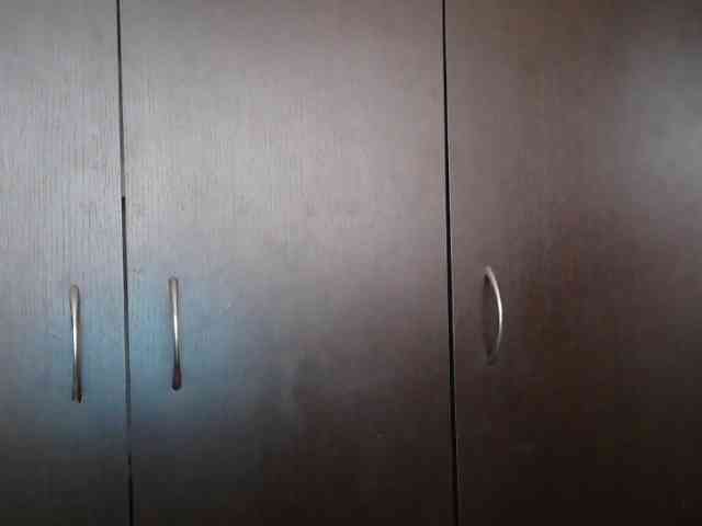 trianabell webcam