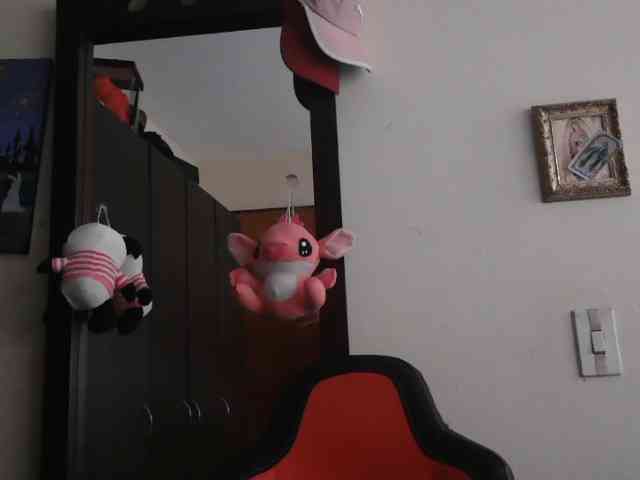 trianabell webcam