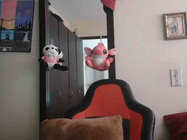 trianabell webcam