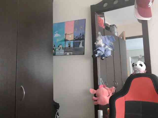 trianabell webcam