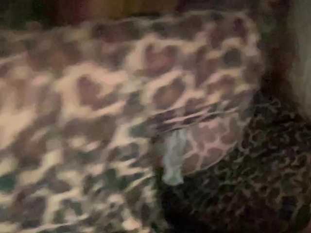 TexasMommy live cam on BongaCams