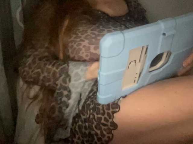 TexasMommy, live now on BongaCams