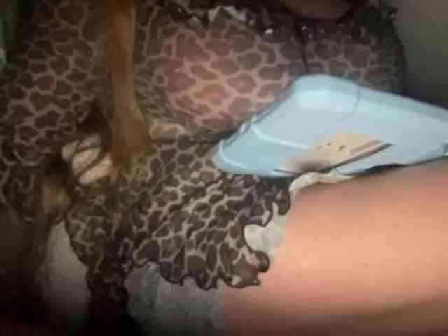 TexasMommy webcam