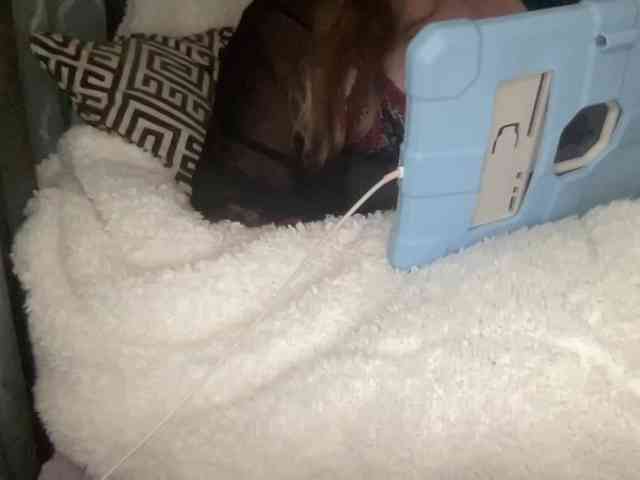 TexasMommy webcam